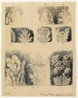 Leafage of the Venetian Capitals
