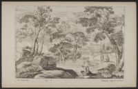 River landscape