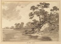 Page of an album