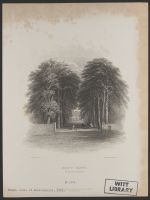 Guy's Cliff from the Avenue