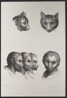 Four male human heads and two cat heads