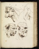 The Johnson Manuscript (manuscript transcript of the Rubens Pocketbook ...