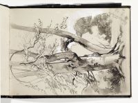 Study of trees, Windsor