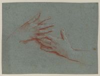 Study of female hands
