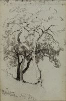 Three trees on hillside
