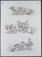 Horse Rollers
