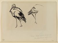 Two studies of a crane (recto)