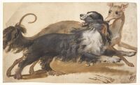 A greyhound and a spaniel