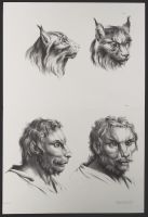 Two male human heads and two lynx heads