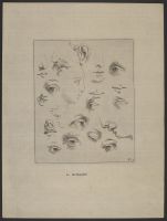 Studies of eyes, ears and faces in profile