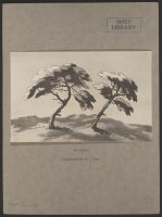 Plates relating to Gilpin's Scotch Tour