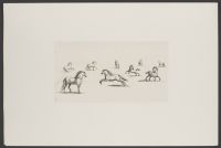 Delineationes nonae Hominum / Eqvurum Eqvutim - Plate 7