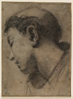 Head of a young monk