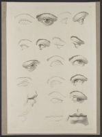 Sixteen studies of a head and four studies of a mouth