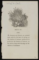 Section 4, Pity
