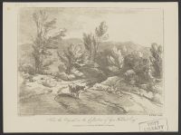 Cow in a landscape