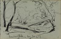 Woodland scene