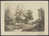 Wooded landscape