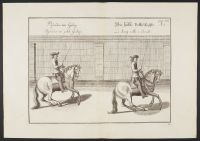 Two equestrian studies - passade small canter and half volte