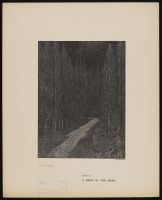 A Bend in the Road