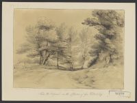 Landscape with a fence