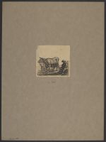 Two cows with two cowherds