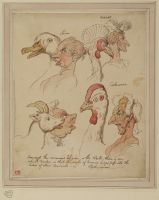 Comparative studies of human and animal heads