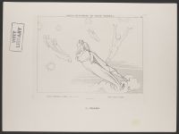 Souls Returning to their Spheres, Paradiso Canto 4, Plate 4