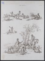 SHEEP SHEARING.