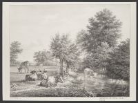 Animals in a Prairie