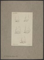 Plate 67: Sketches of feet
