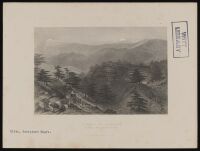 Cedars on Lebanon