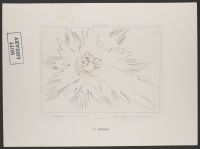 St. Peter, Paradiso Canto 24, Plate 24