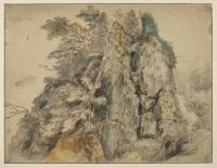 Rock overgrown with trees and other vegetation