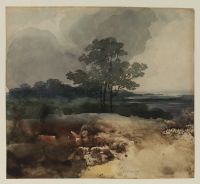 Landscape with trees