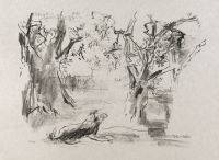 Apulia - Olive tree and sheepdog (Olivenbaum und Schaferhund)