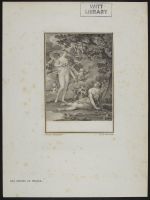 Adonis by a stream