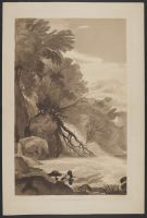 Study from Nature at Tivoli