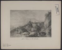 Ruins of a wooden bridge