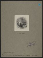 The Death-Boat of Heligoland