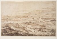 Extensive landscape