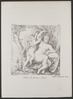 Venus disarming Cupid