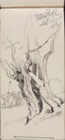 A Gnarled Tree Trunk