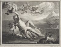 Rape of Europa