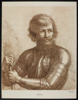 Bearded warrior in armour