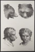 Two male human heads and two bear heads