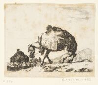 Frontispiece for Diversi Animali 