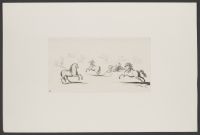 Delineationes nonae Hominum / Eqvurum Eqvutim - Plate 8