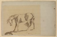 Study of a horse with head lowered, tail and mane blowing to left