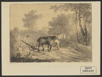 Man Ploughing
